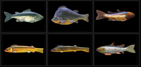 Fish Decoy Posters, The Complete Collection