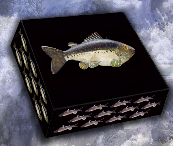 American Fish Decoy Note Cards, Master Series 3