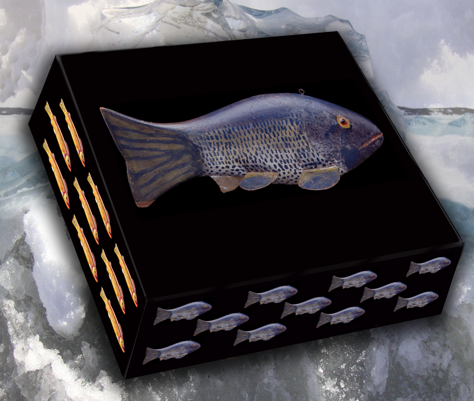 decoy fish tank card box American Fish Decoy Note Cards, Master Series 4